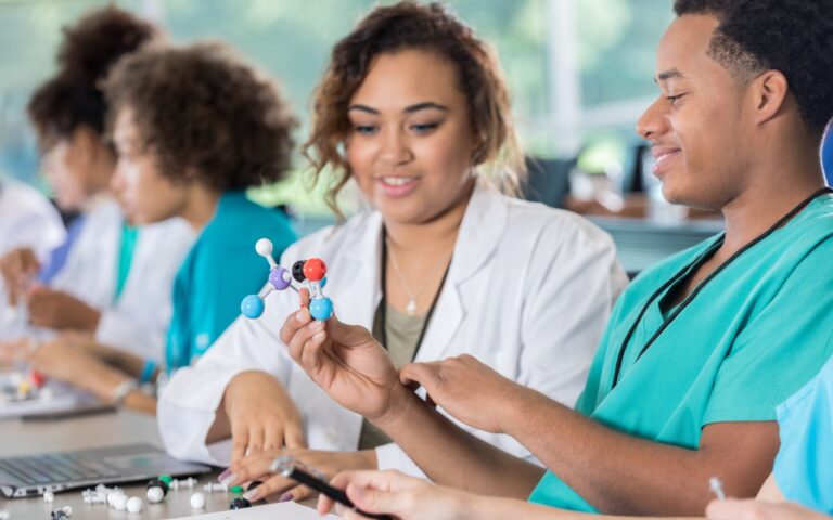 Pre-med Internship Program